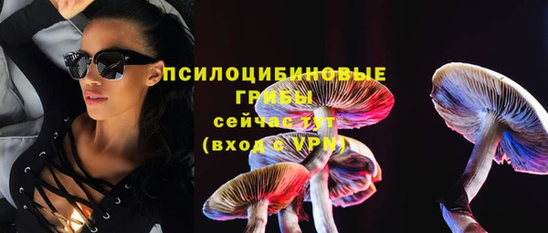 СК Заводоуковск