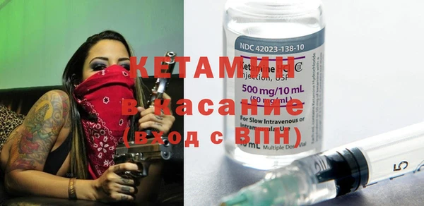 шишки Заволжск