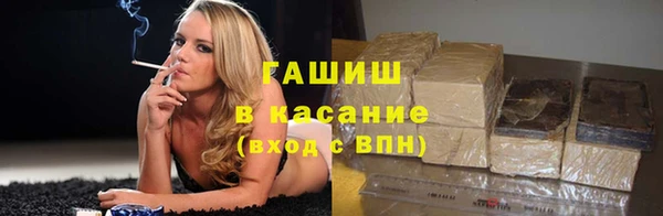 шишки Елизово