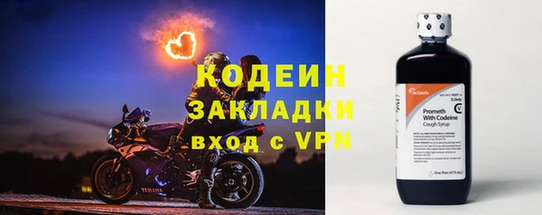 шишки Заволжск