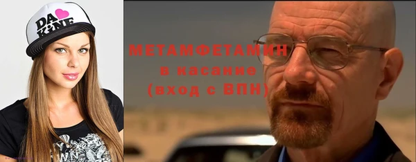 шишки Елизово