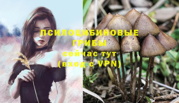 кристаллы Заволжье