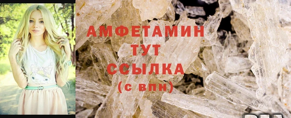 шишки Елизово
