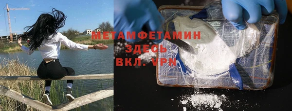 шишки Елизово
