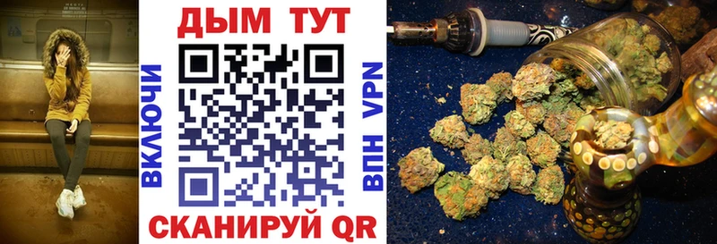 купить наркотики цена  Заозёрный  кракен tor  Шишки марихуана план 